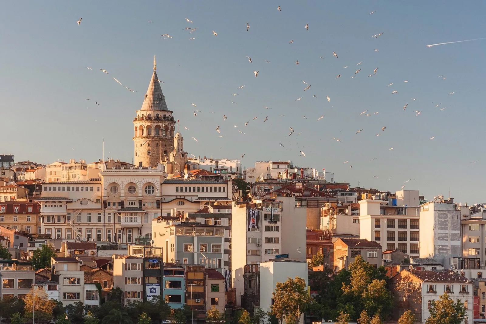 3. Turkey