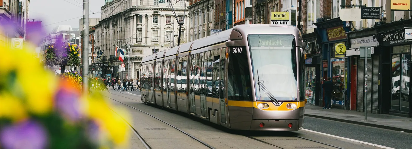 7. Book as Many Travel Services Locally as Possible