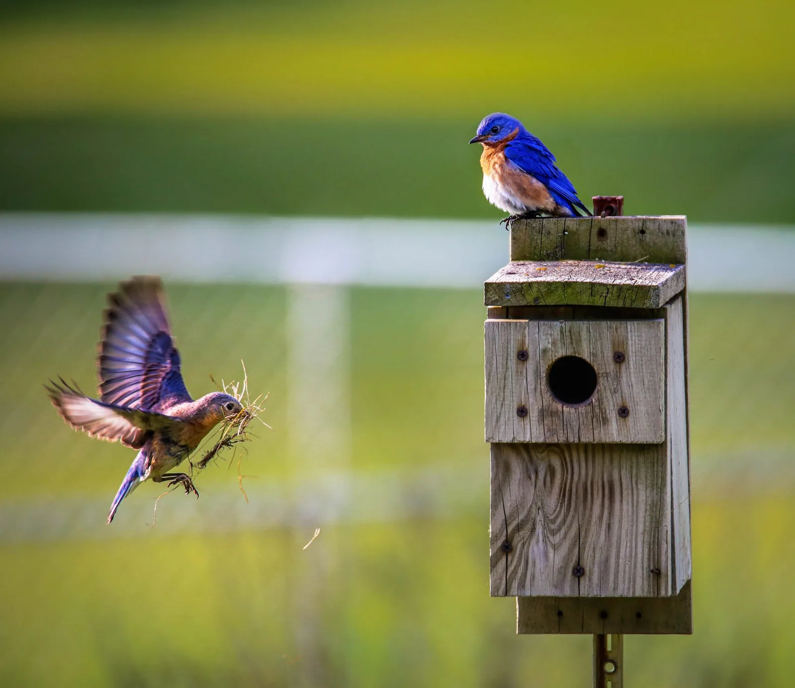 5. Play with Shutter Speed
