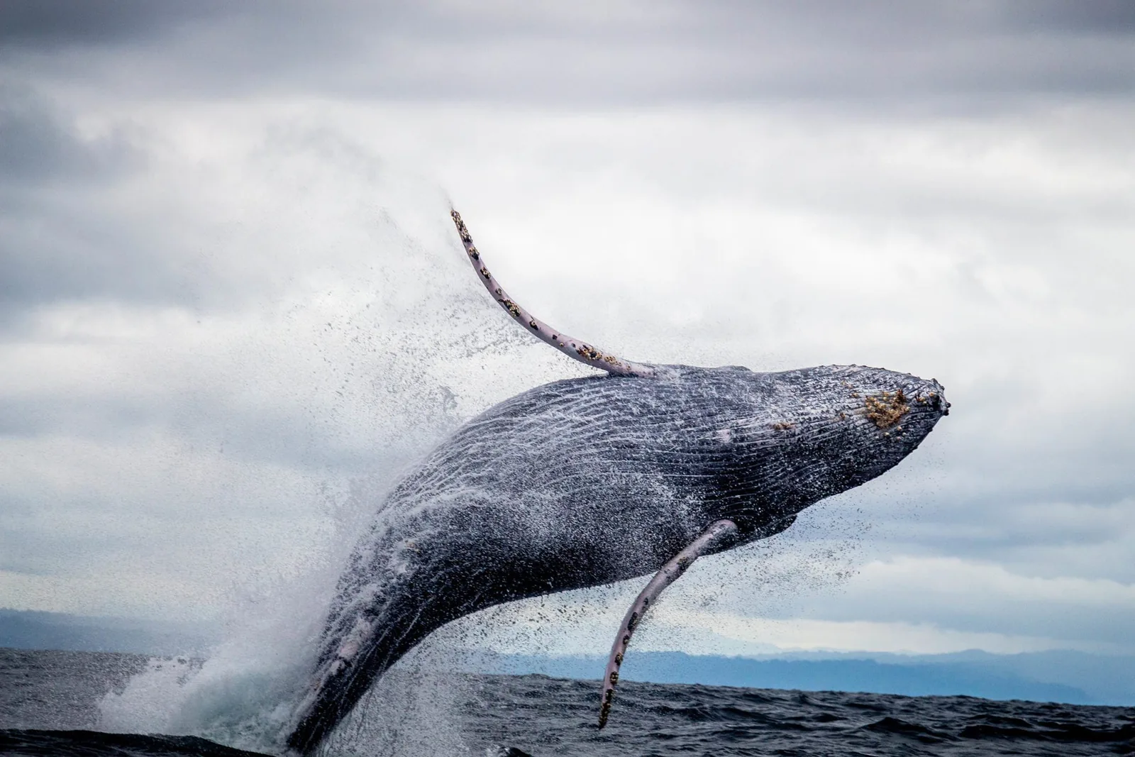 6. High-Speed Burst Mode