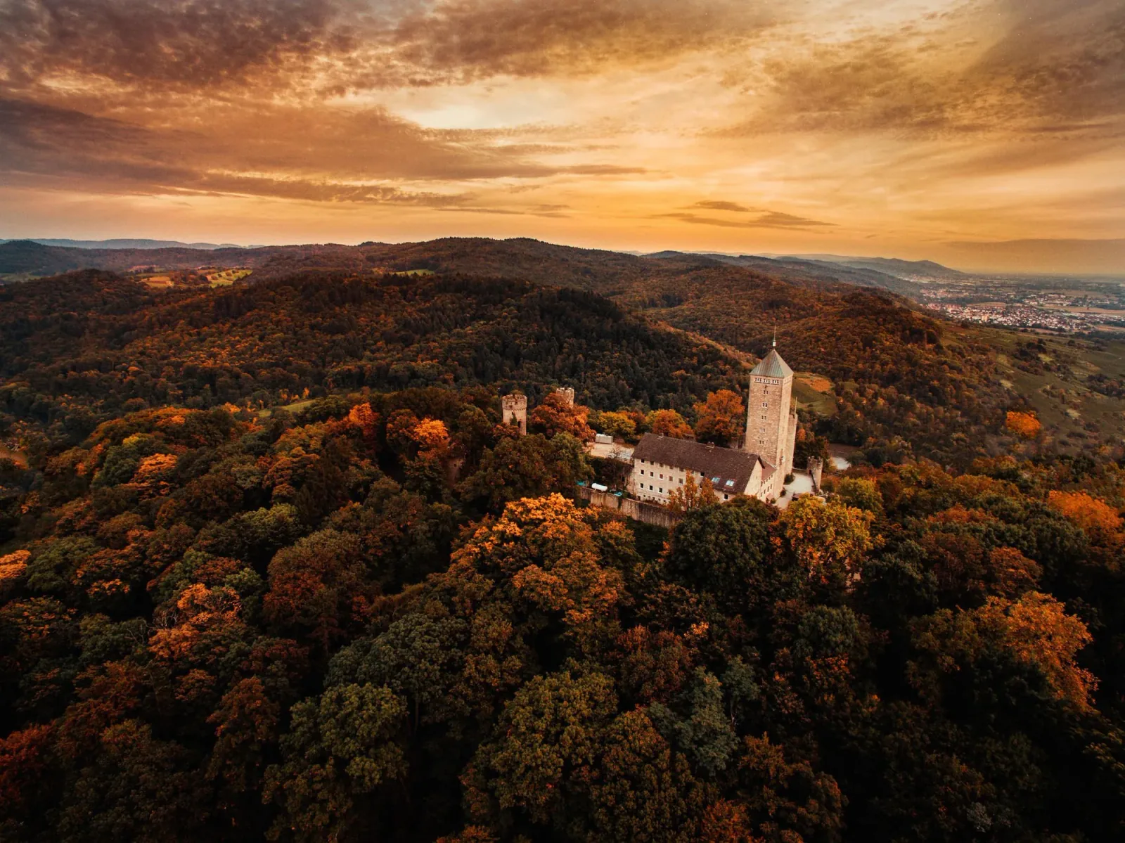A white tower in an autumn forest under a glowing sky
