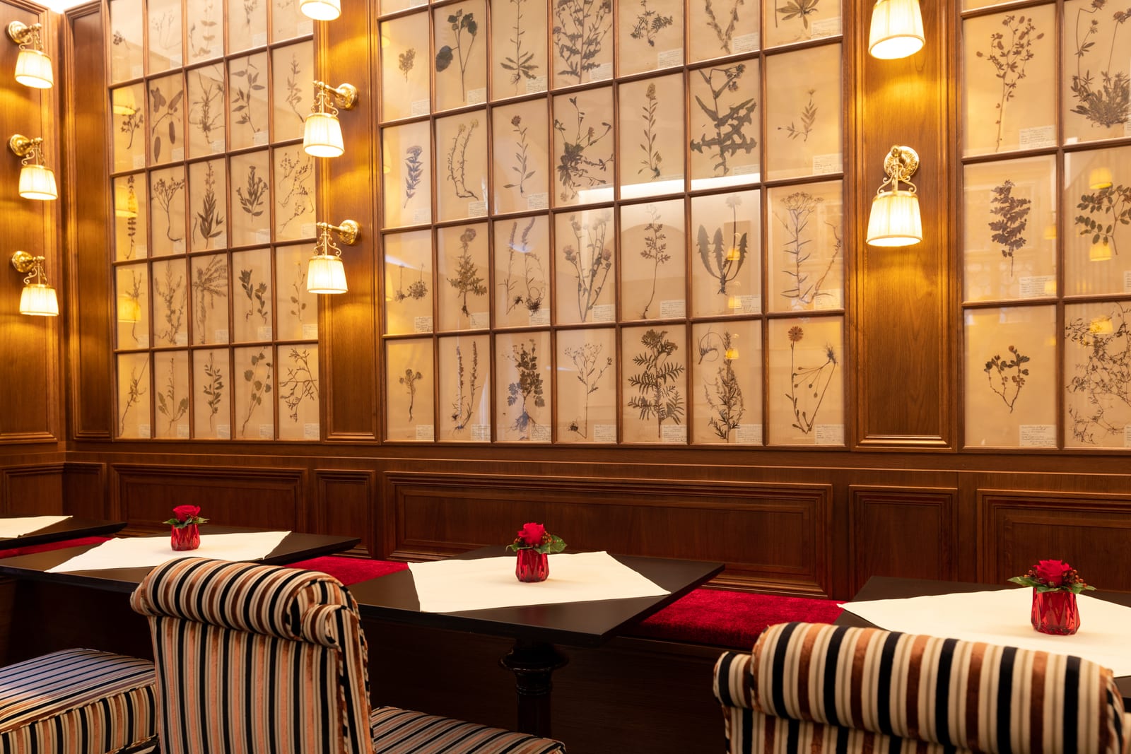 Kaffeehaus Goldene Waage – Frankfurt — Bild 3