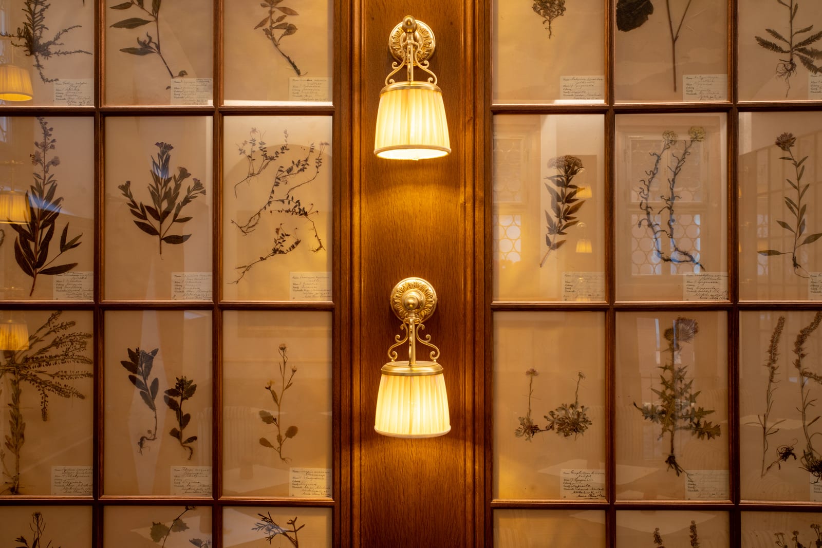 Kaffeehaus Goldene Waage – Frankfurt — Bild 7