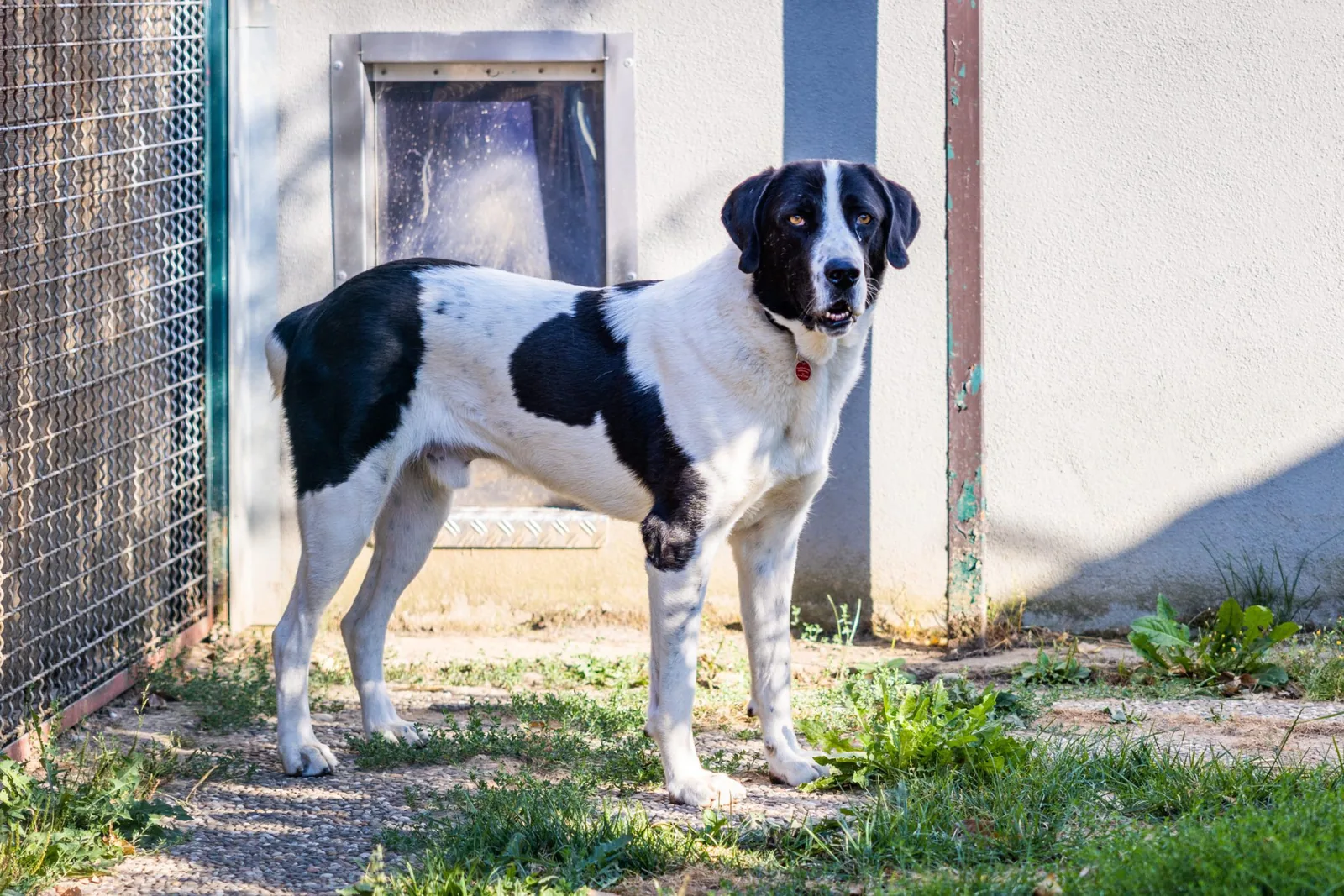 Tierheim Hattersheim — Fotoproduktion — Bild 10