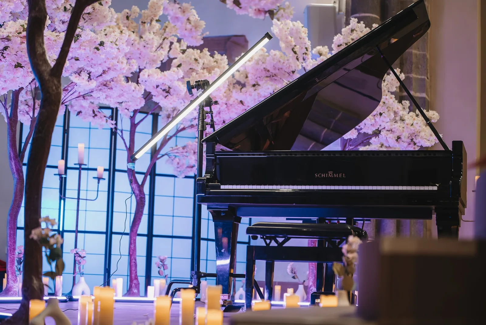 Dreamlight Concert Frankfurt — Konzertfotografie — Bild 4