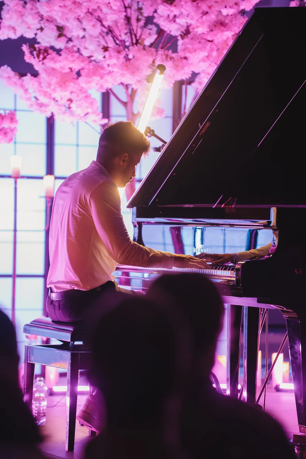 Dreamlight Concert Frankfurt — Konzertfotografie — Bild 7