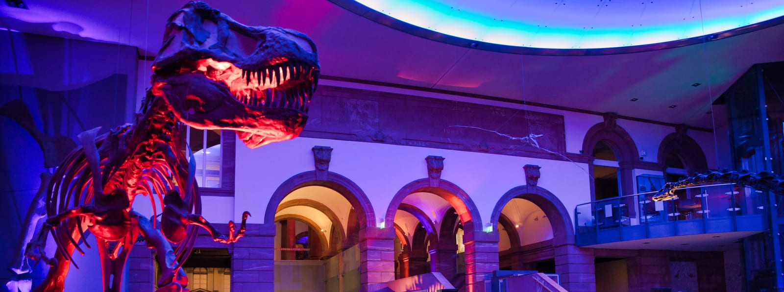 Alvarez & Marsal – Senckenberg Museum FFM