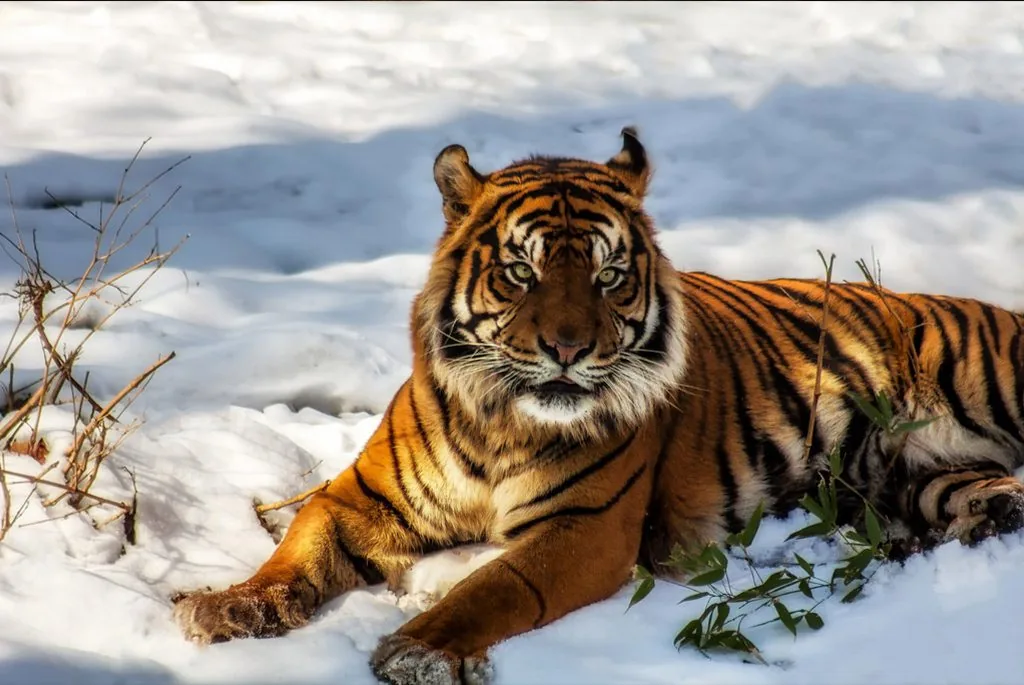 Wildlife photography — Image 7