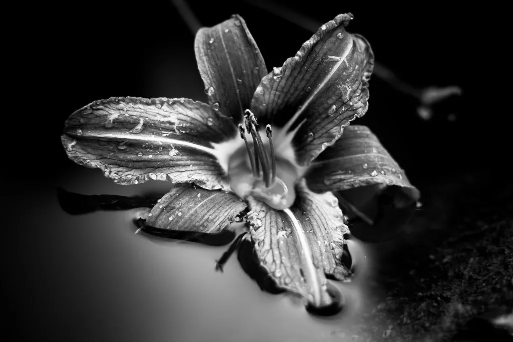 Black & White Landscape Fotografie — Fotoproduktion — Bild 5