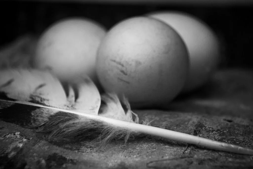 Black & White Landscape Fotografie — Fotoproduktion — Bild 6
