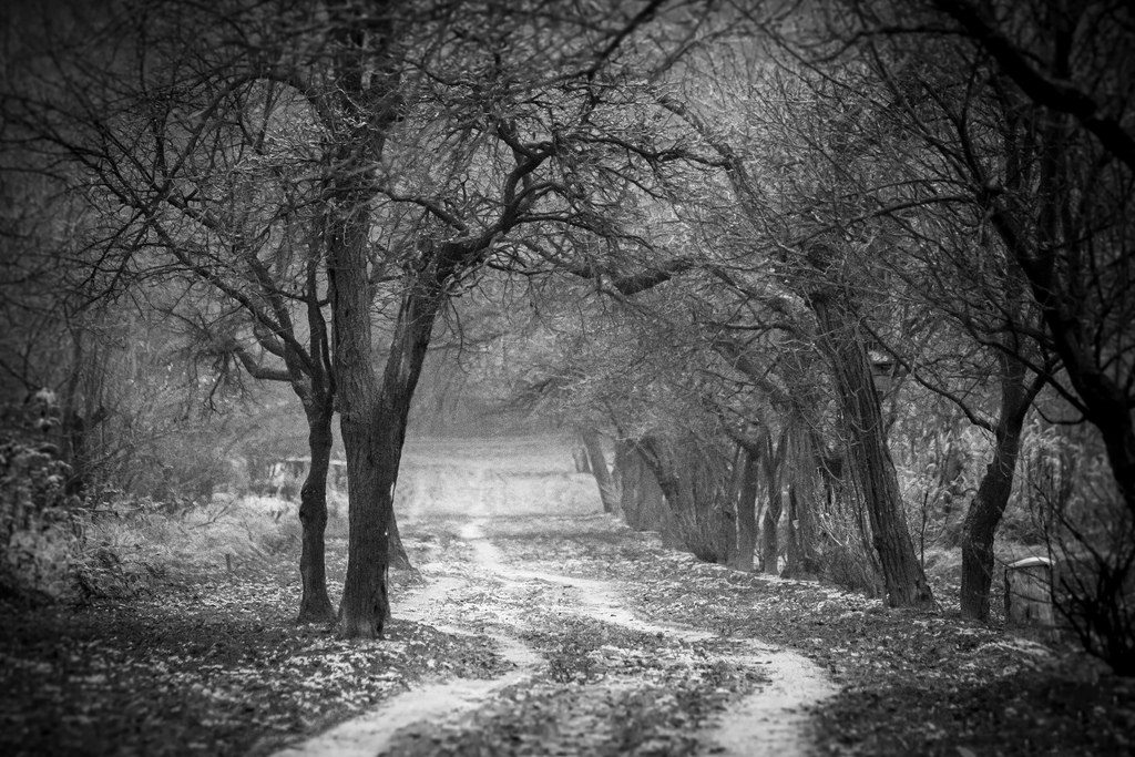 Black & White Landscape Fotografie — Fotoproduktion — Bild 8