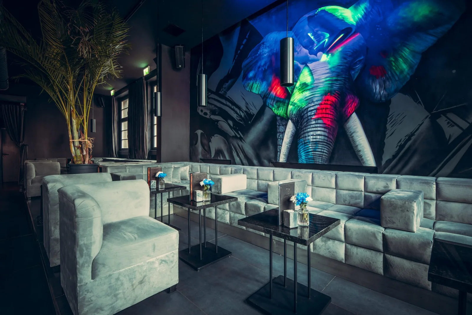 Elephant Room – Bar and Coffee — Fotoproduktion — Bild 4