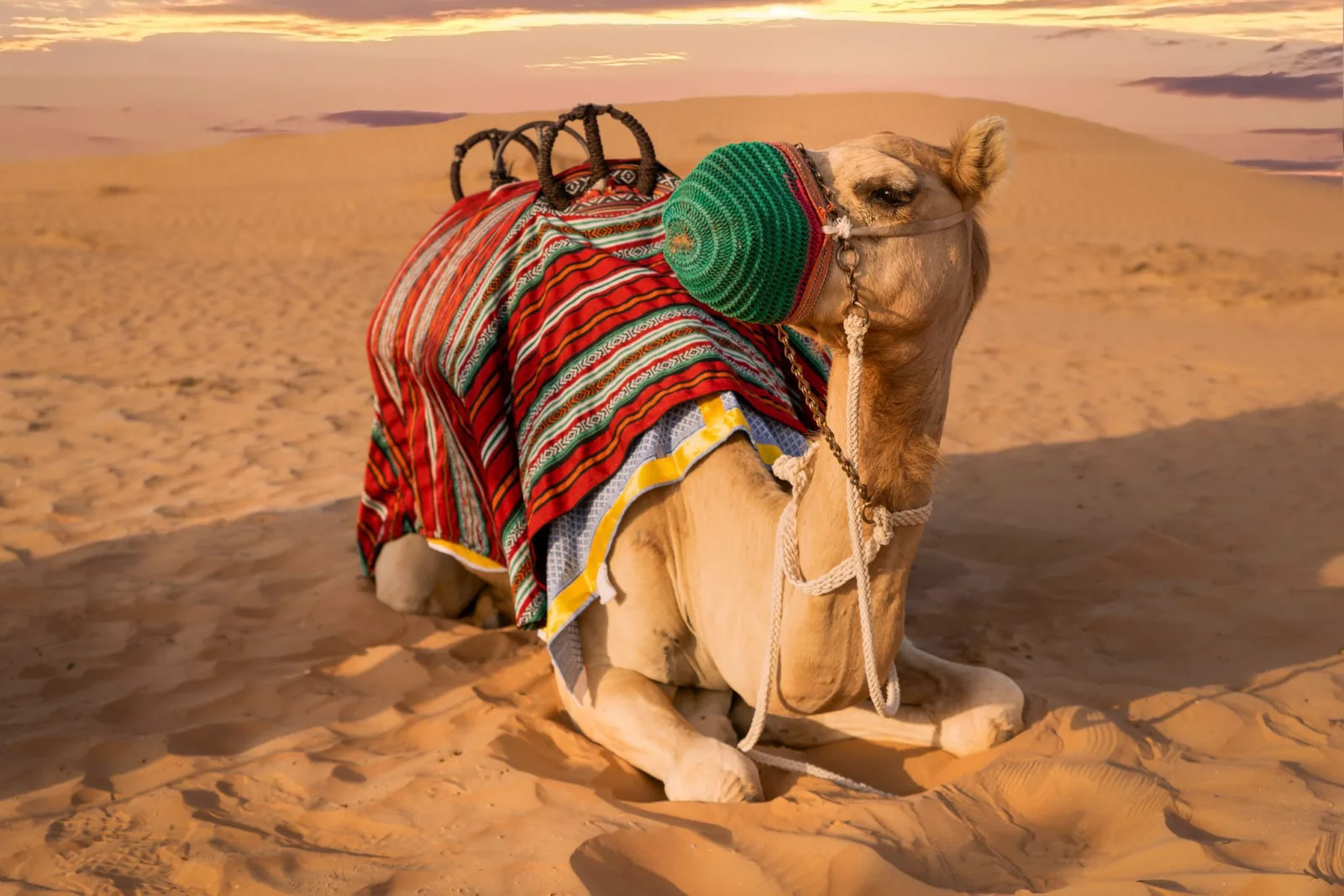 Ras Al-Khaimah – The Frankfurter – Editorial — Fotoproduktion — Bild 10