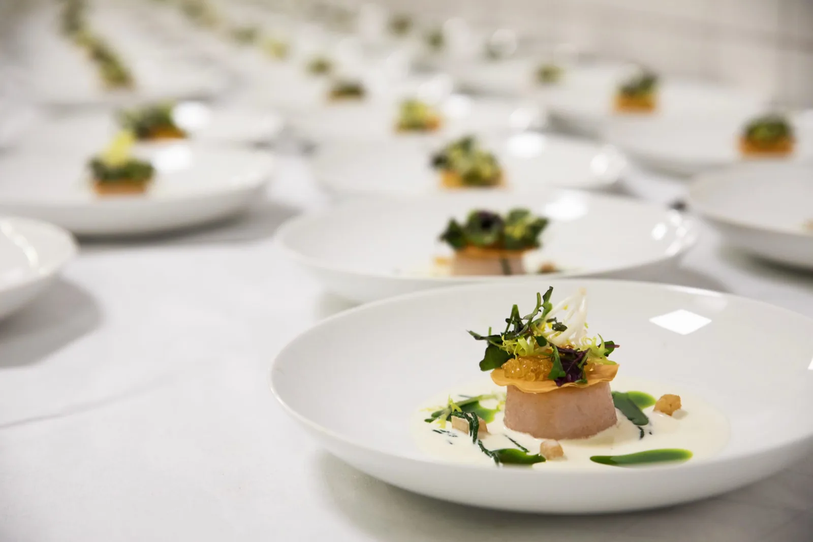 THE FRANKFURTER GRAND GALA – Eventbilder — Bild 5