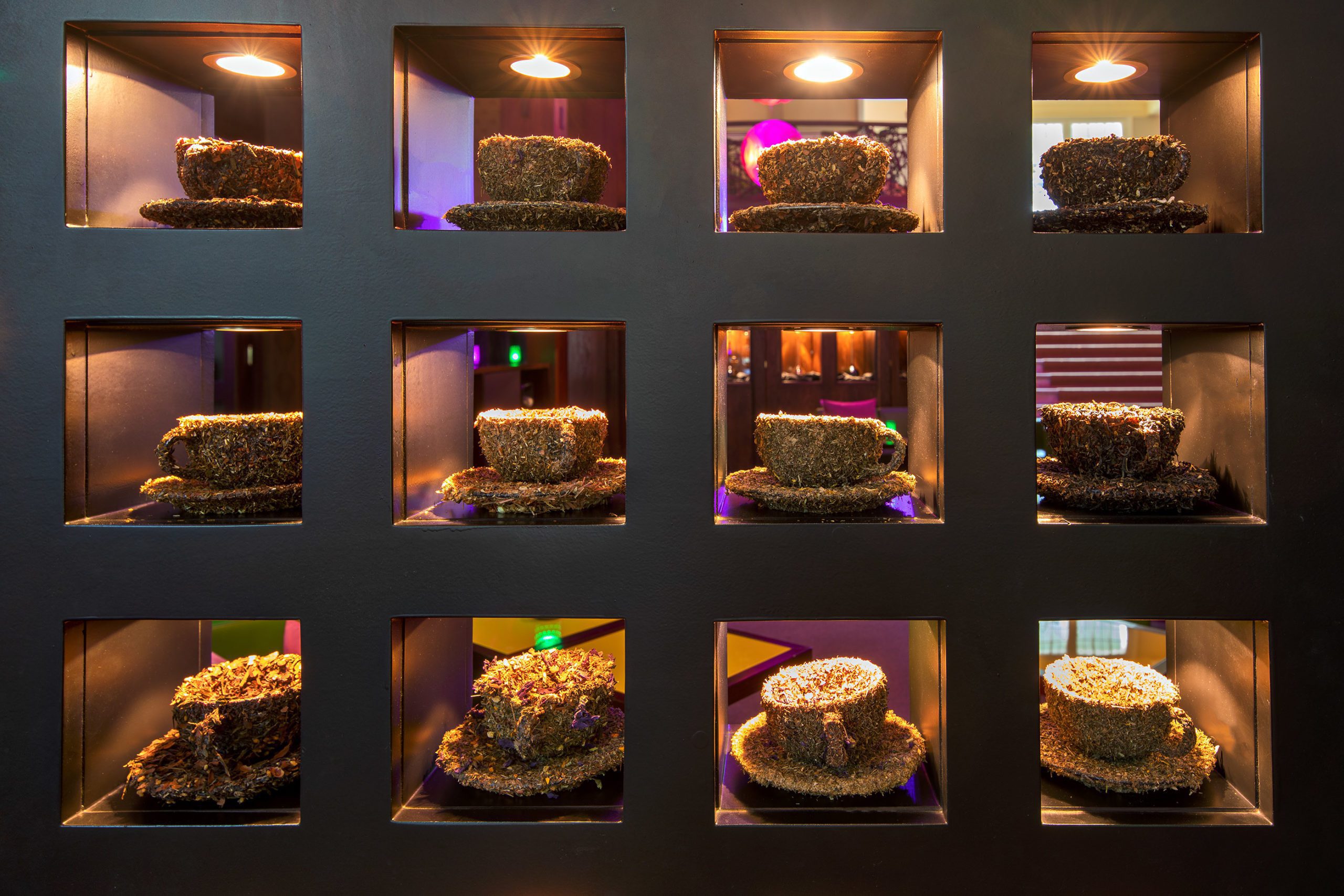 a rosa travemuende 6