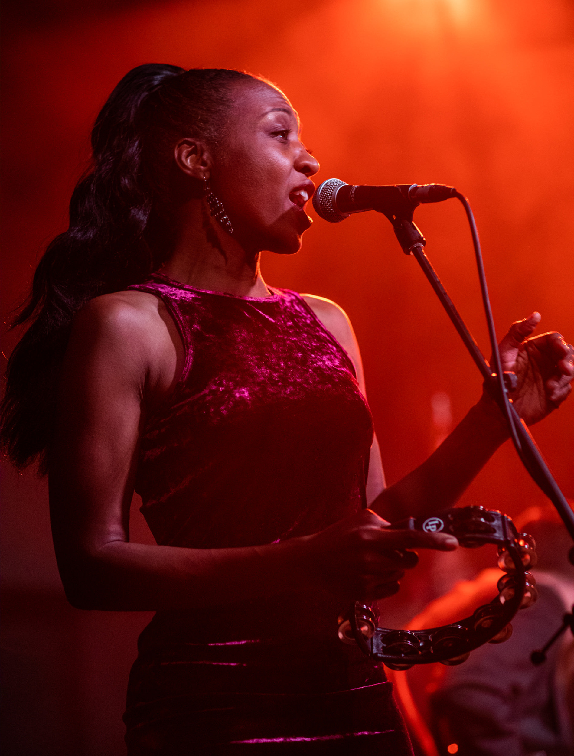 Concert photography Germany 5 concerts 24