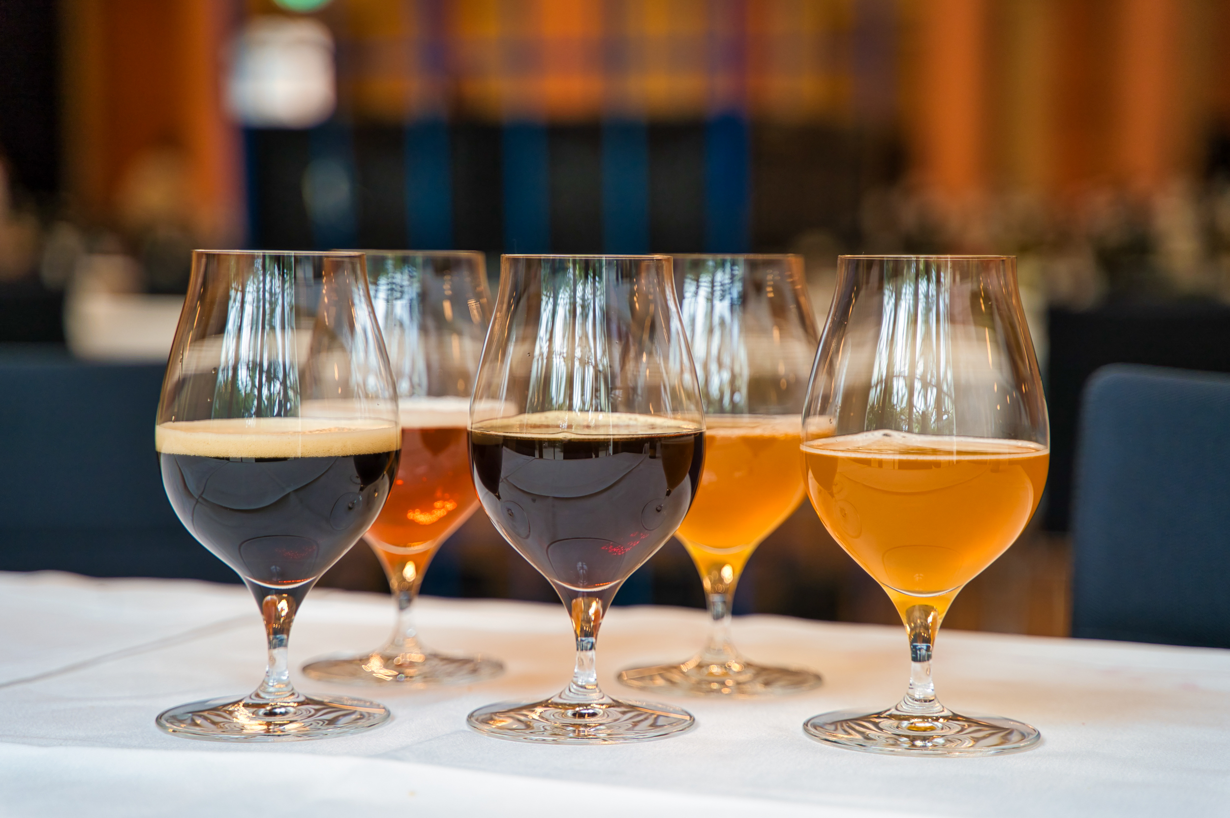 IMG 317 1 Frankfurt International Trophy