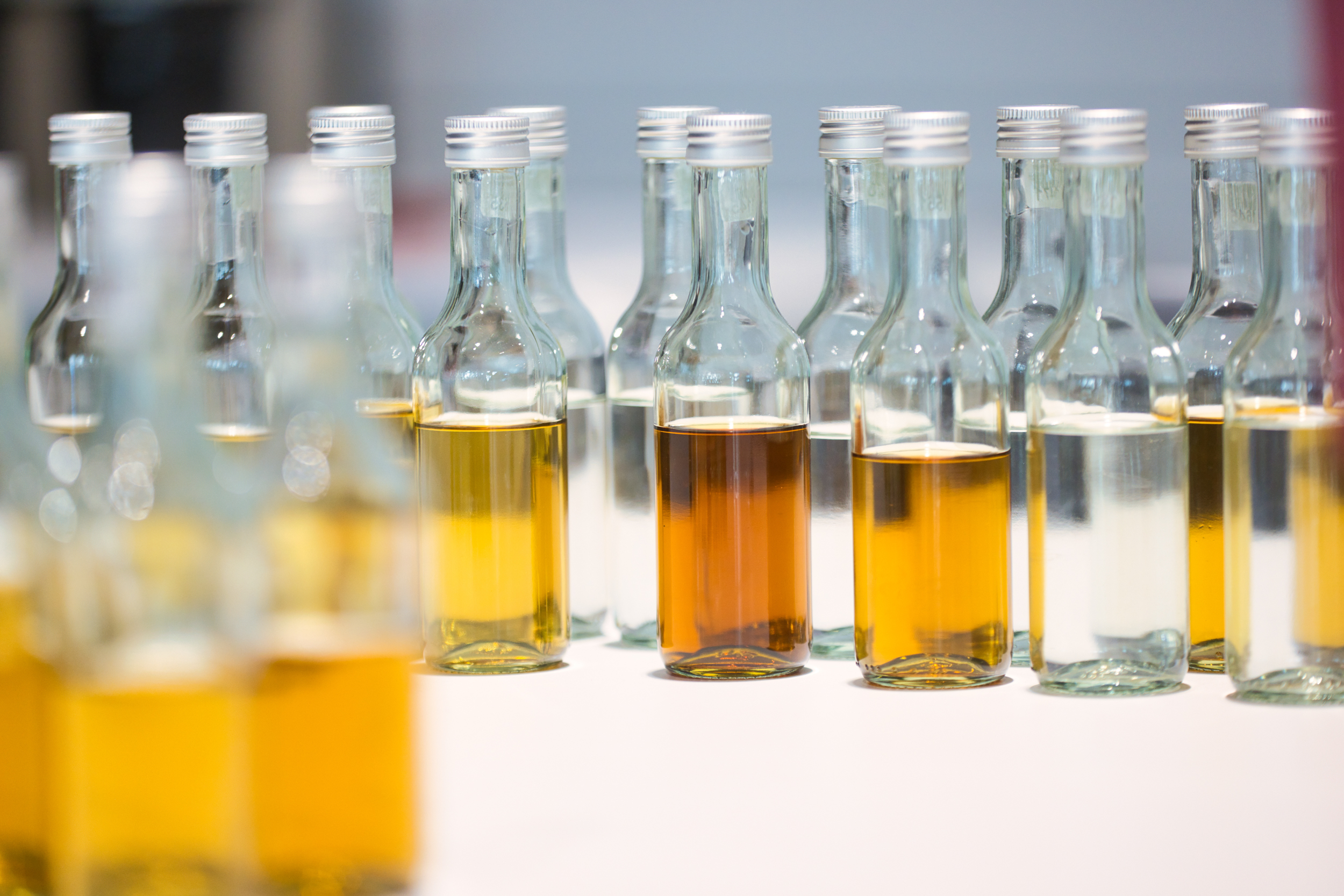 Womenstrophy 12 Women's International Trophy