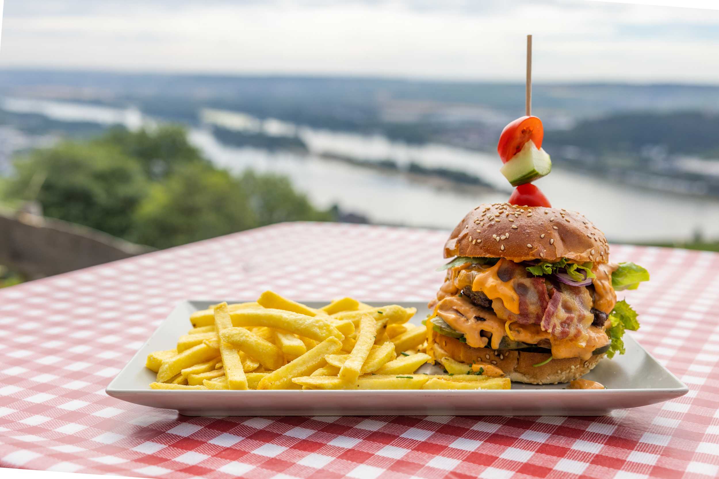 Rebenhaus 1 Das Rebenhaus