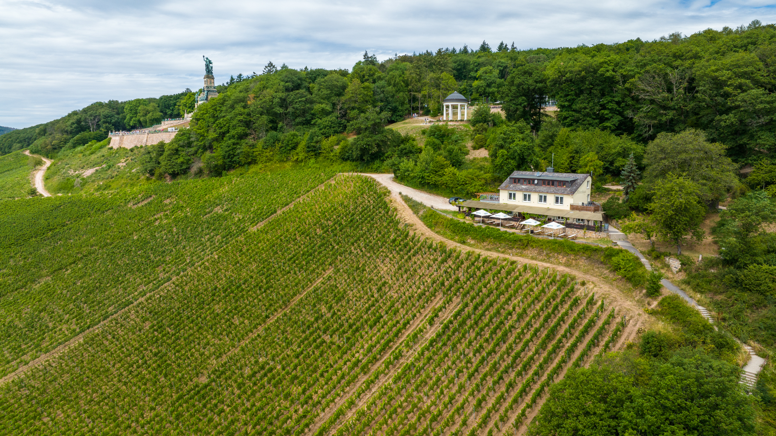 Rebenhaus 19 Das Rebenhaus