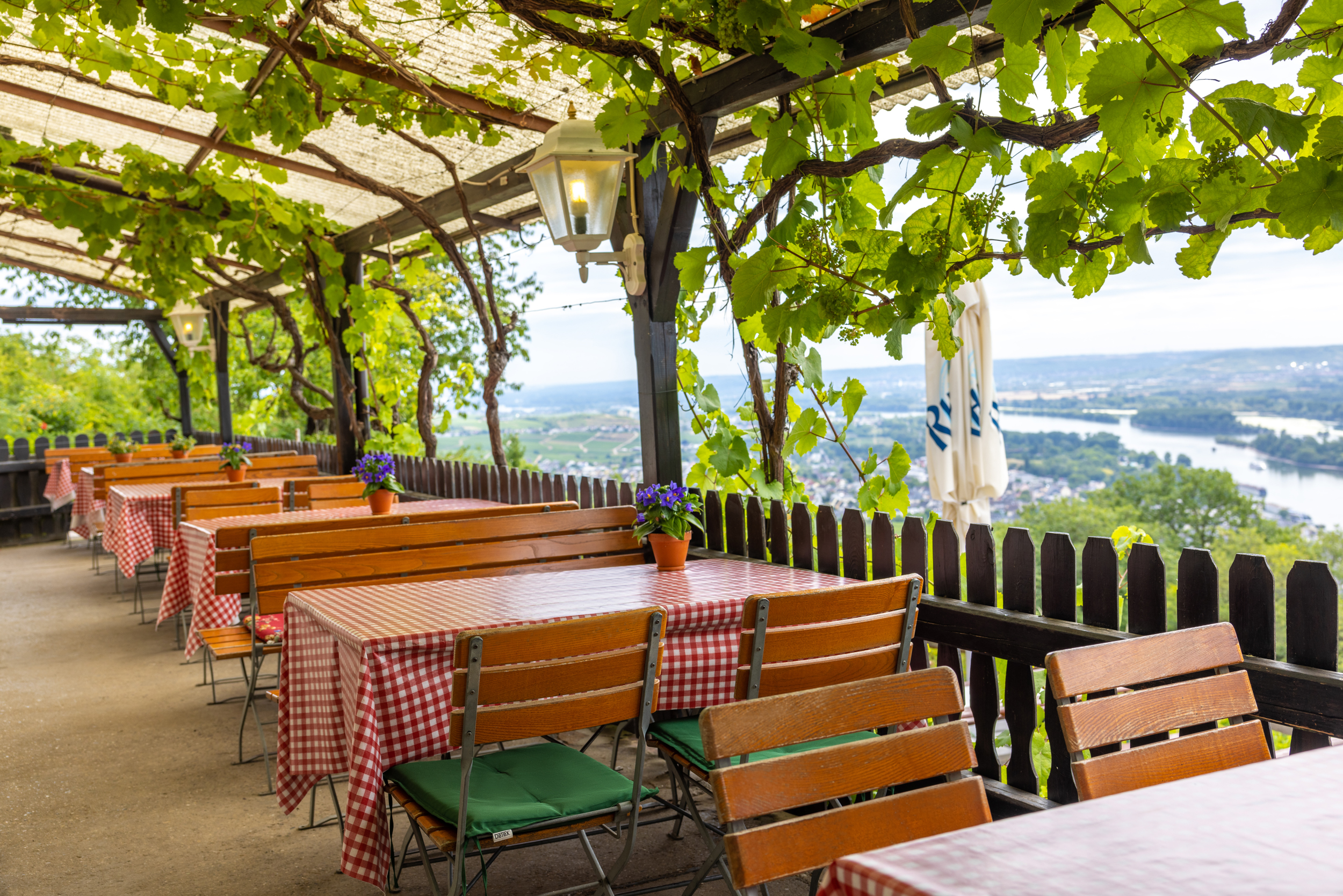 Rebenhaus 6 Das Rebenhaus