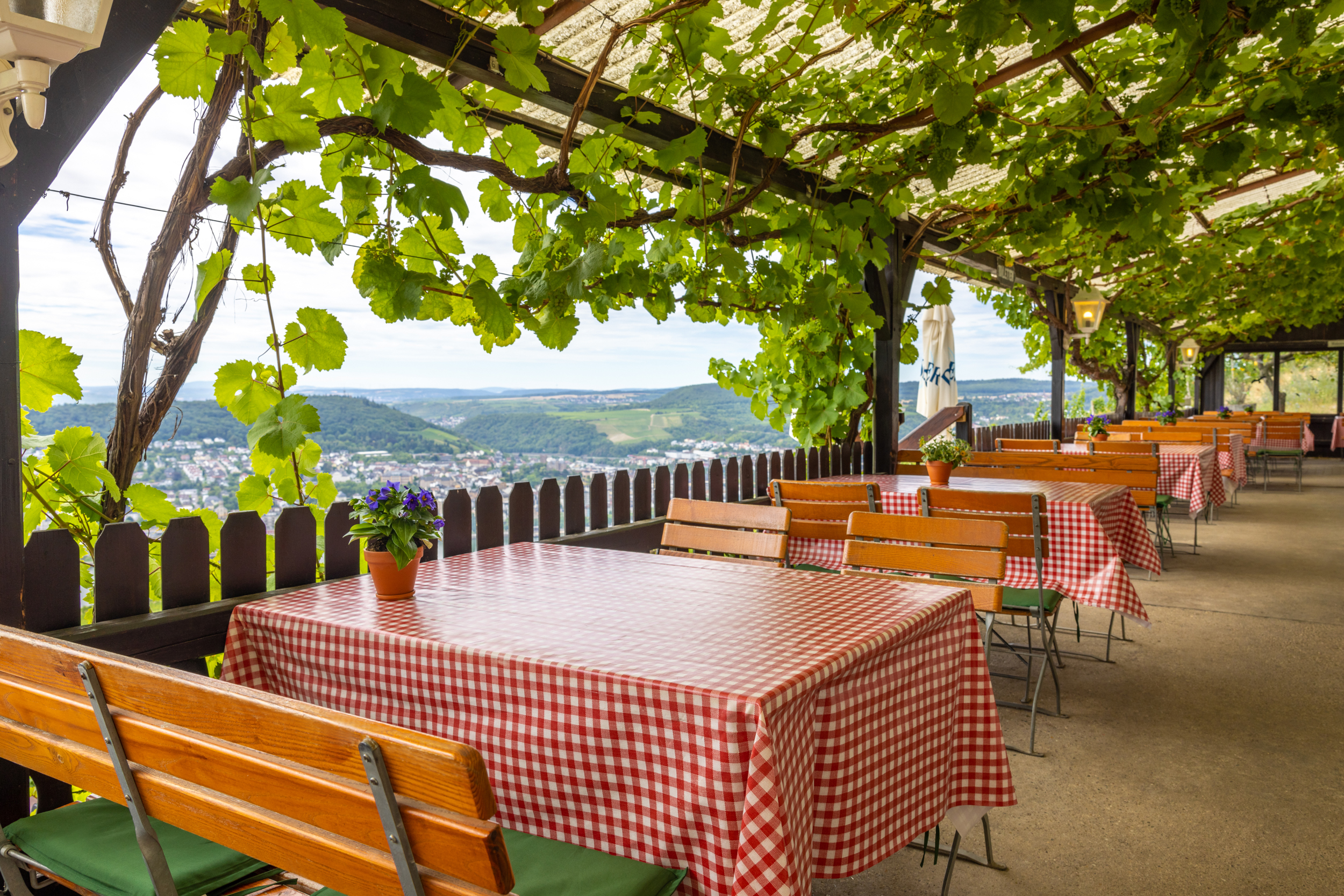 Rebenhaus 7 Das Rebenhaus