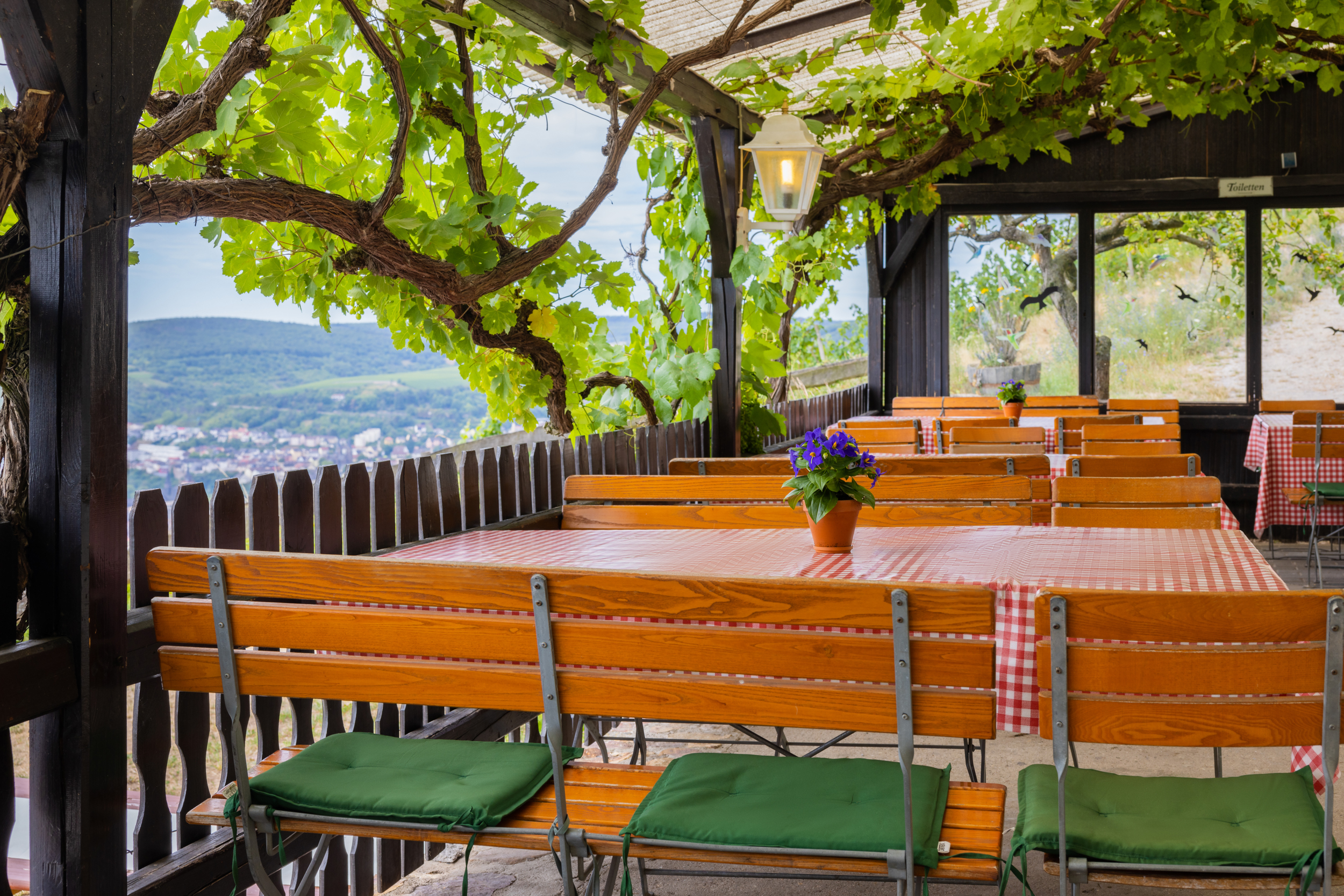 Rebenhaus 8 Das Rebenhaus